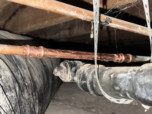 Pro Rooter, LLC - Visual
