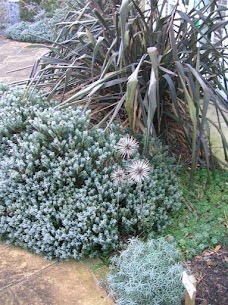 Turrill Sculpture Garden oxford