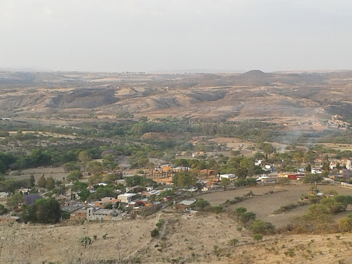 Area Natural "Los Sabinos"