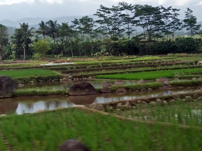 Photos of Barokah Agency