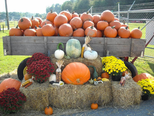 Linda's Fruit Stand - Thumbnail
