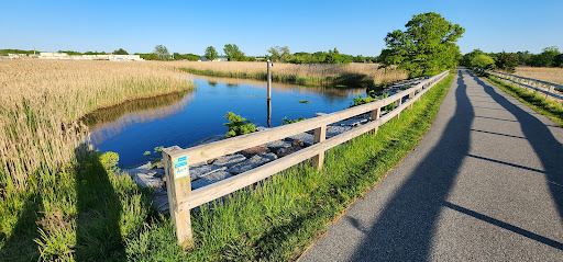 Old Eastern Marsh Trail - Thumbnail