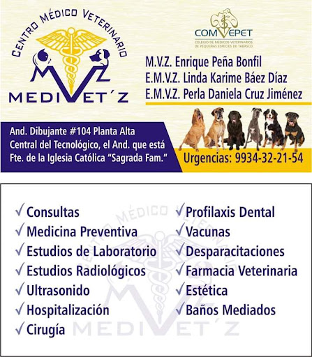 Medivetz - Visual