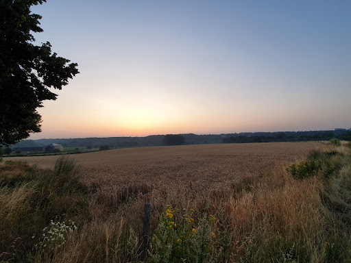 Dentgenbach
