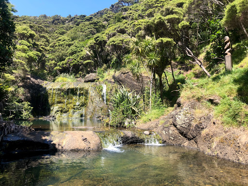 Lake Wainamu Car Park& Entrance - Thumbnail