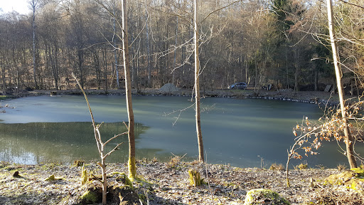 Fischzucht / Naturerlebnis Park - Thumbnail