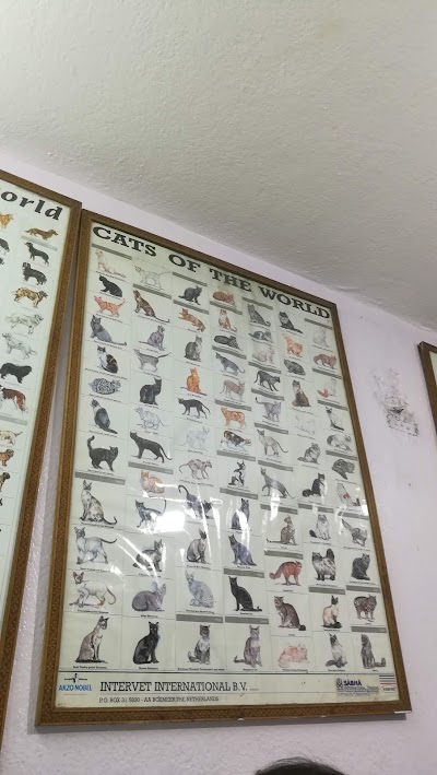 veterinary-care