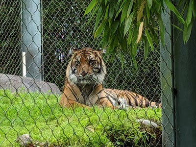 Point Defiance Zoo & Aquarium