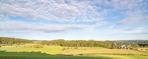 Berlingerweg - Siedlung - Stockach - Thumbnail