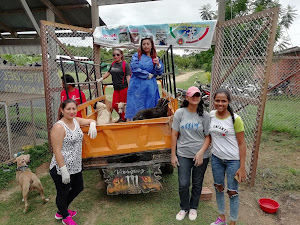 Centro Canino Municipal De Pucallpa 5