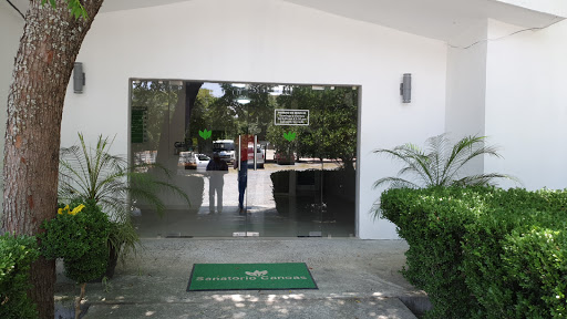 Clínica Canoas - Thumbnail