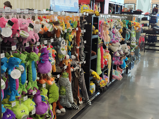 Petco Nuevo Laredo - Thumbnail