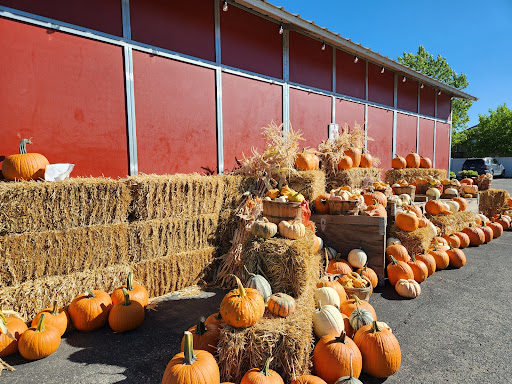 Riley's Taste of Sunshine Gallery - United States