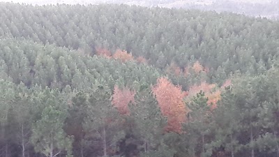 Photos of Campamento San Miguel