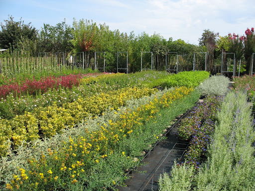 Photo de Les Jardins de Péline à Saint-Perdon (40090)