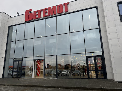 Бегемот