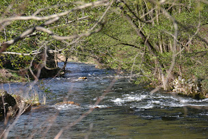 Photo n°23 de Ushuaïa Villages Le Viaduc, votre camping nature et détente en Ardèche à Arlebosc (Terrain de camping)