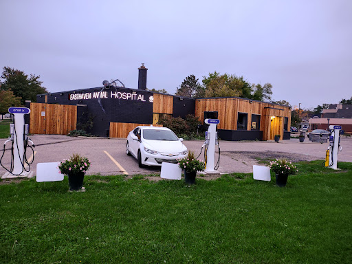 Easthaven Animal Hospital - Thumbnail
