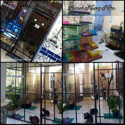 Photos of RKK Pet Shop & Ternak Kucing
