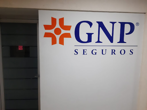 Supervisoría GNP Querétaro - Thumbnail
