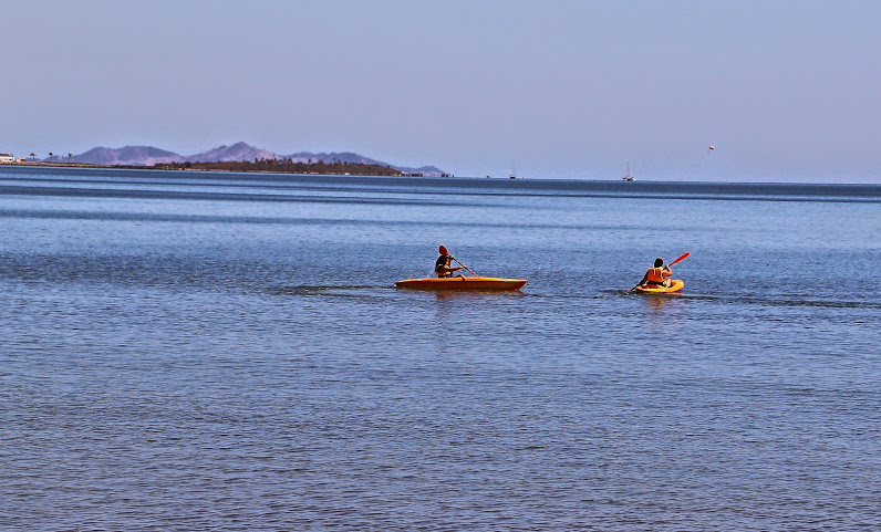 Aquarius On The Beach by null