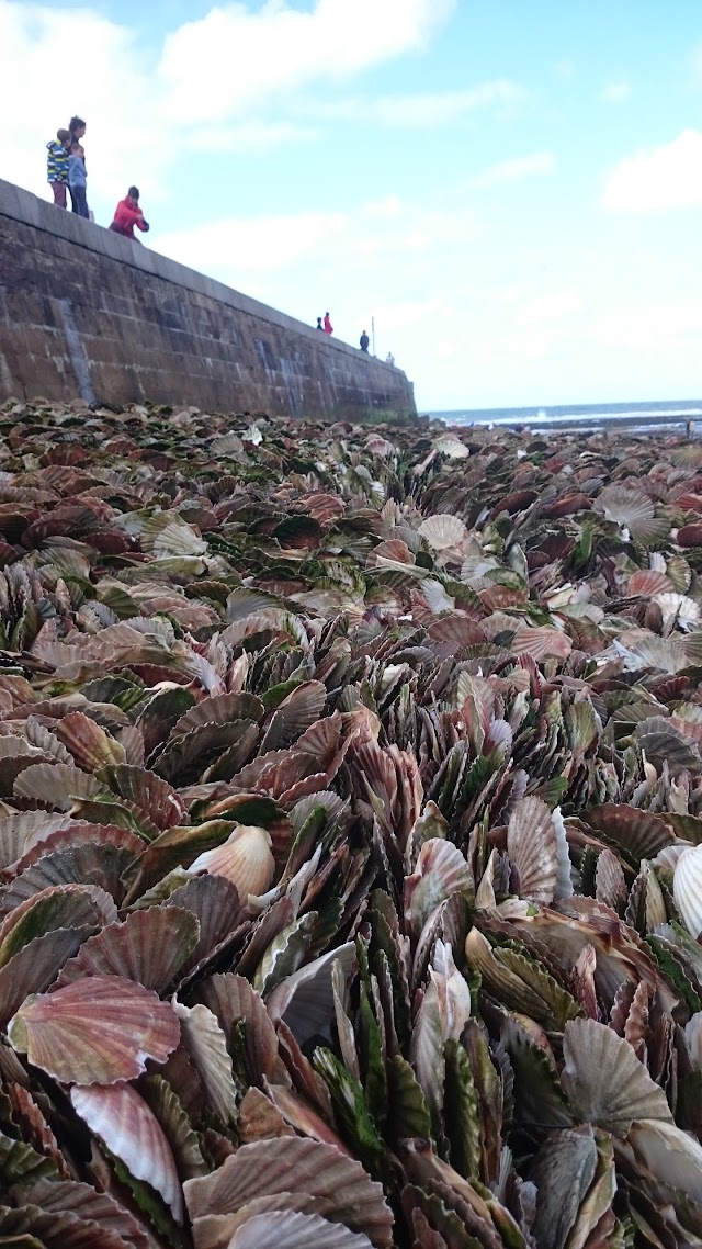 Marché aux poissons