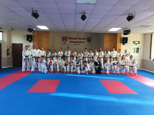Takeshi Karate Logo