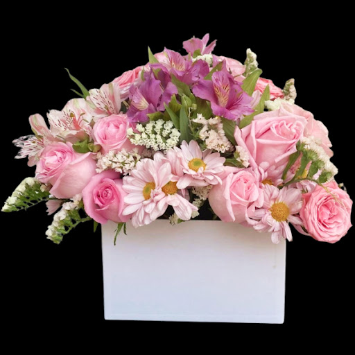 Elite Flowers Mexico