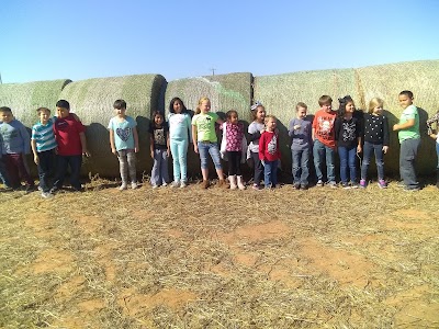 Red River Pumpkin Patch