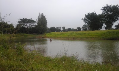 Photos of Saung Bambu Ilman