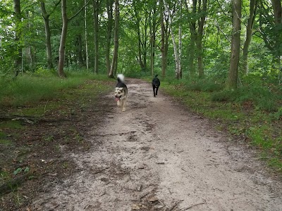 Photos of Skibstrup Camping