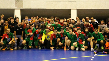 handbol-berga