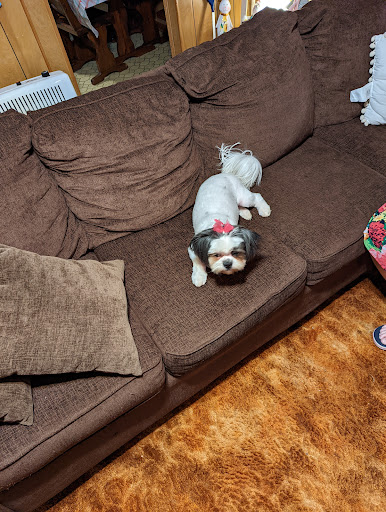 Bailey’s Pet Spa - Thumbnail