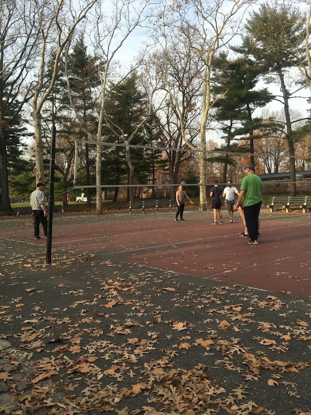Volleyball Courts