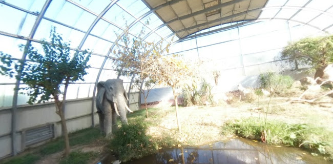 Comentários e avaliações sobre o Parque Biológico de Gaia