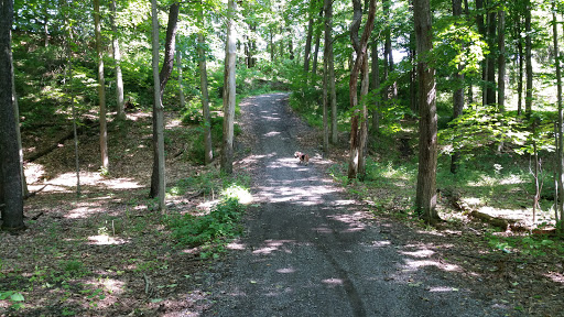 F T Proctor Park - Thumbnail