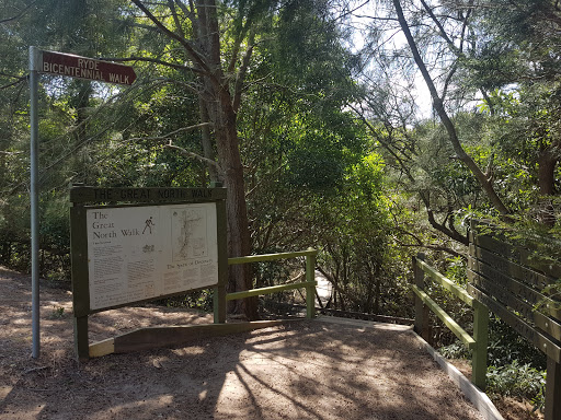 Lane Cove Mangrove Walkway - Thumbnail