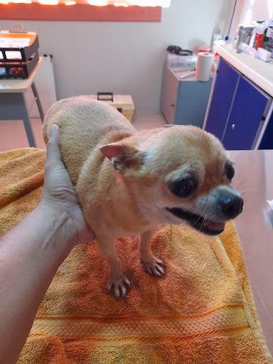 VETERINARIA FUEGO NUEVO