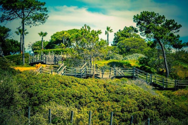 Praia de São Rafael