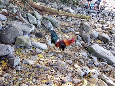 Honolua Park