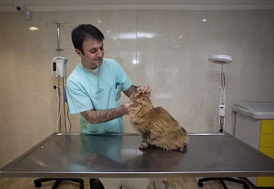 Photos of Juen Veteriner Polikliniği