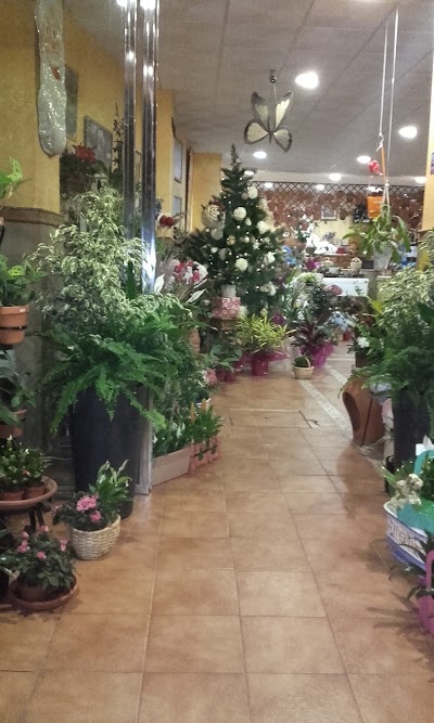 Photos of Florister&iacute;a Susana y David
