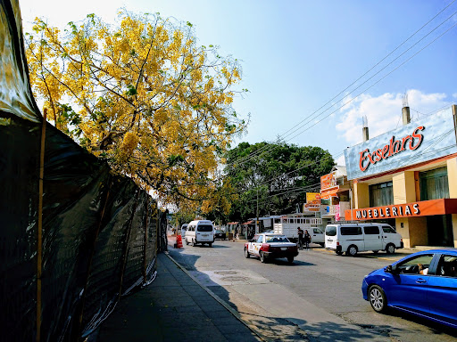 Muebleria Excelaris
