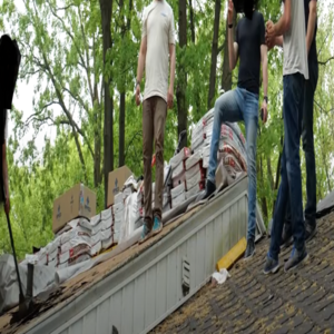 Ultimate Roofing Ocoee - Visual