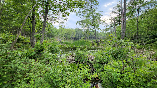 Six Mile Lake Provincial Park - Thumbnail