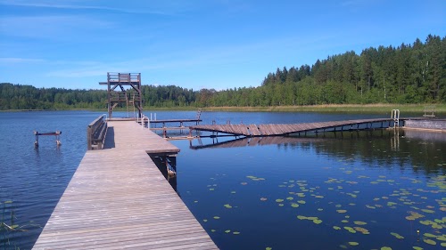 järv