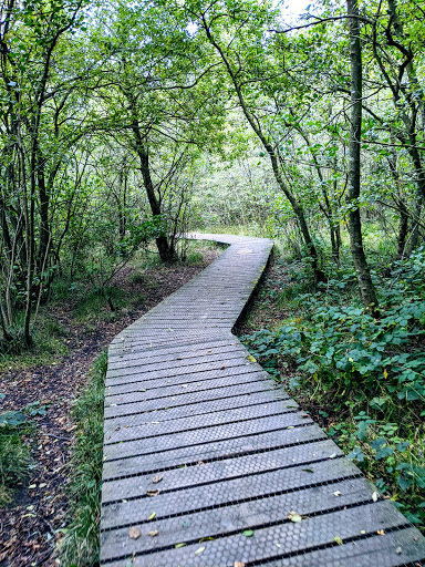 Havannah Nature Reserve Logo