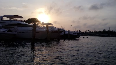 Photos of Todomar CHL MARINA SAS