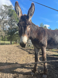 Photo n°18 de La Taverne des Ecuries à Grilly (Restaurant français)