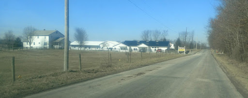 Country View Bent-N-Dent Gallery - United States
